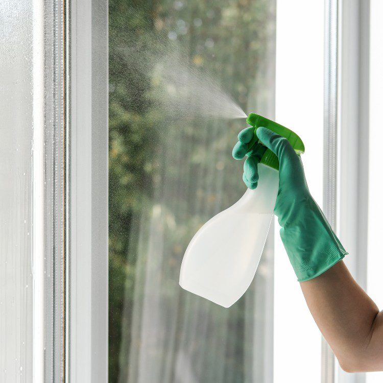 Professional Window Cleaning in Elizabeth Town, KY Professional Window Cleaning in Elizabeth Town, KY
