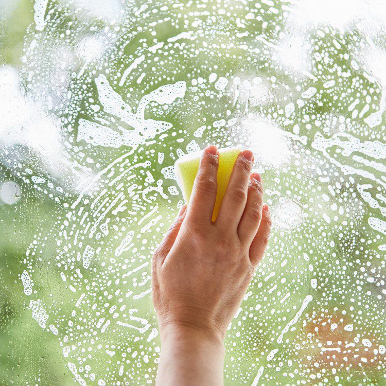 Professional Window Cleaning in Elizabeth Town, KY Professional Window Cleaning in Elizabeth Town, KY
