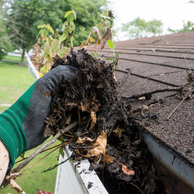 Professional Window Cleaning in Elizabeth Town, KY Professional Window Cleaning in Elizabeth Town, KY