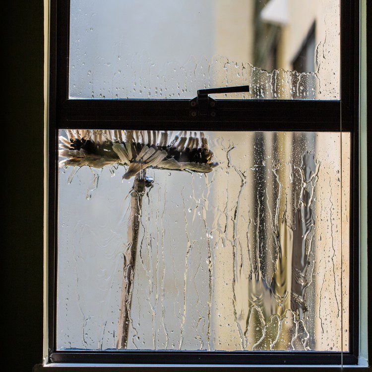 Professional Window Cleaning in Elizabeth Town, KY Professional Window Cleaning in Elizabeth Town, KY