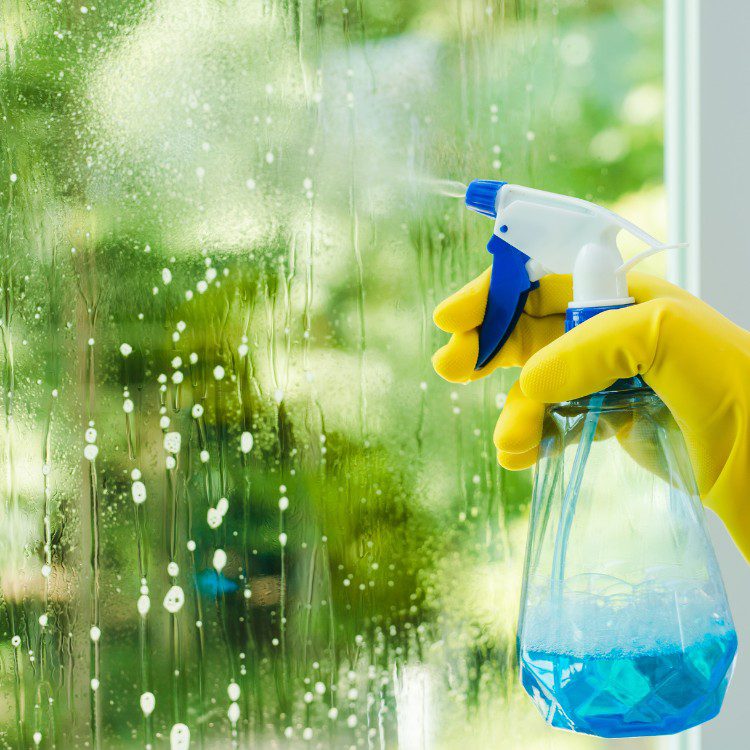 Professional Window Cleaning in Elizabeth Town, KY Professional Window Cleaning in Elizabeth Town, KY